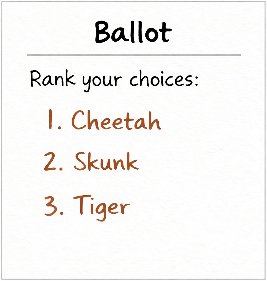 Modified Cheetah supporters ballot