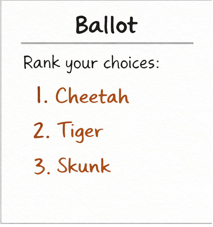 Cheetah supporters ballot