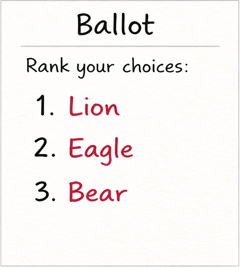 Lion supporters ballot