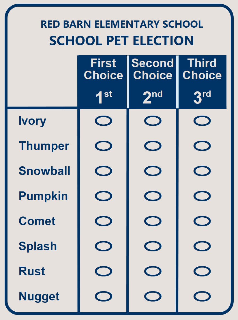 Ranked choice ballot