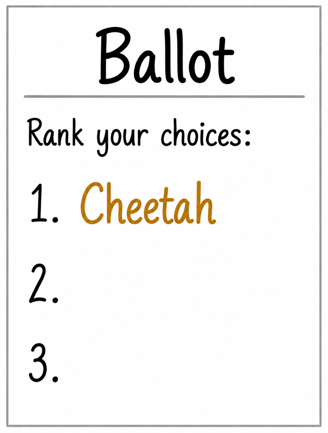 Plains bullet-voting ballot