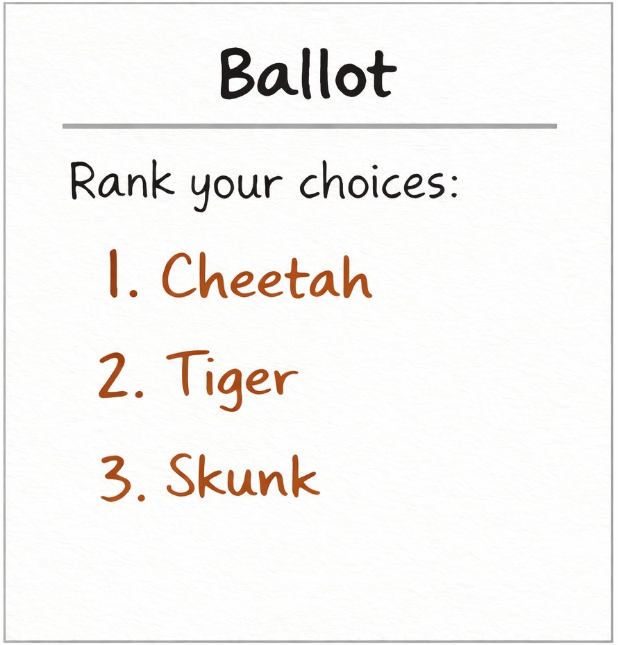 Cheetah supporters ballot