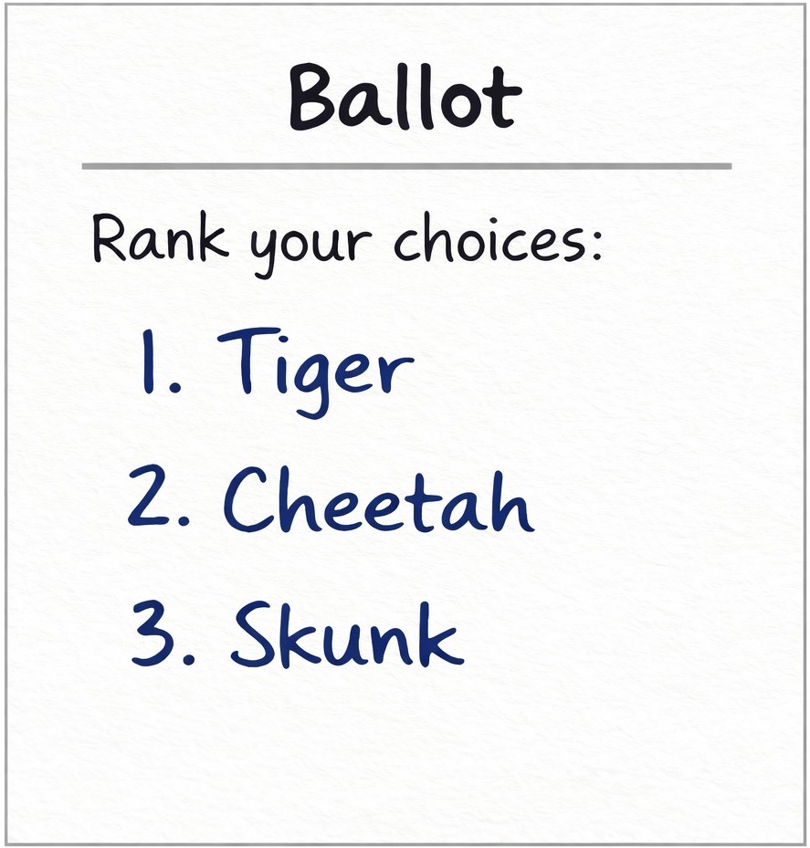 Tiger supporters ballot